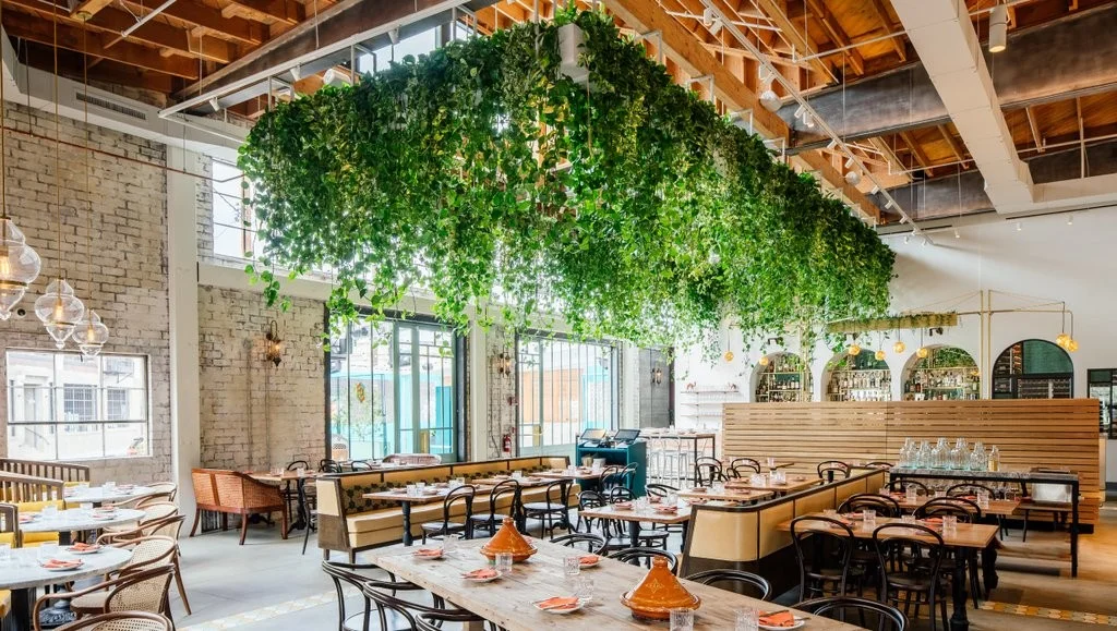 Thiết kế nội thất xanh