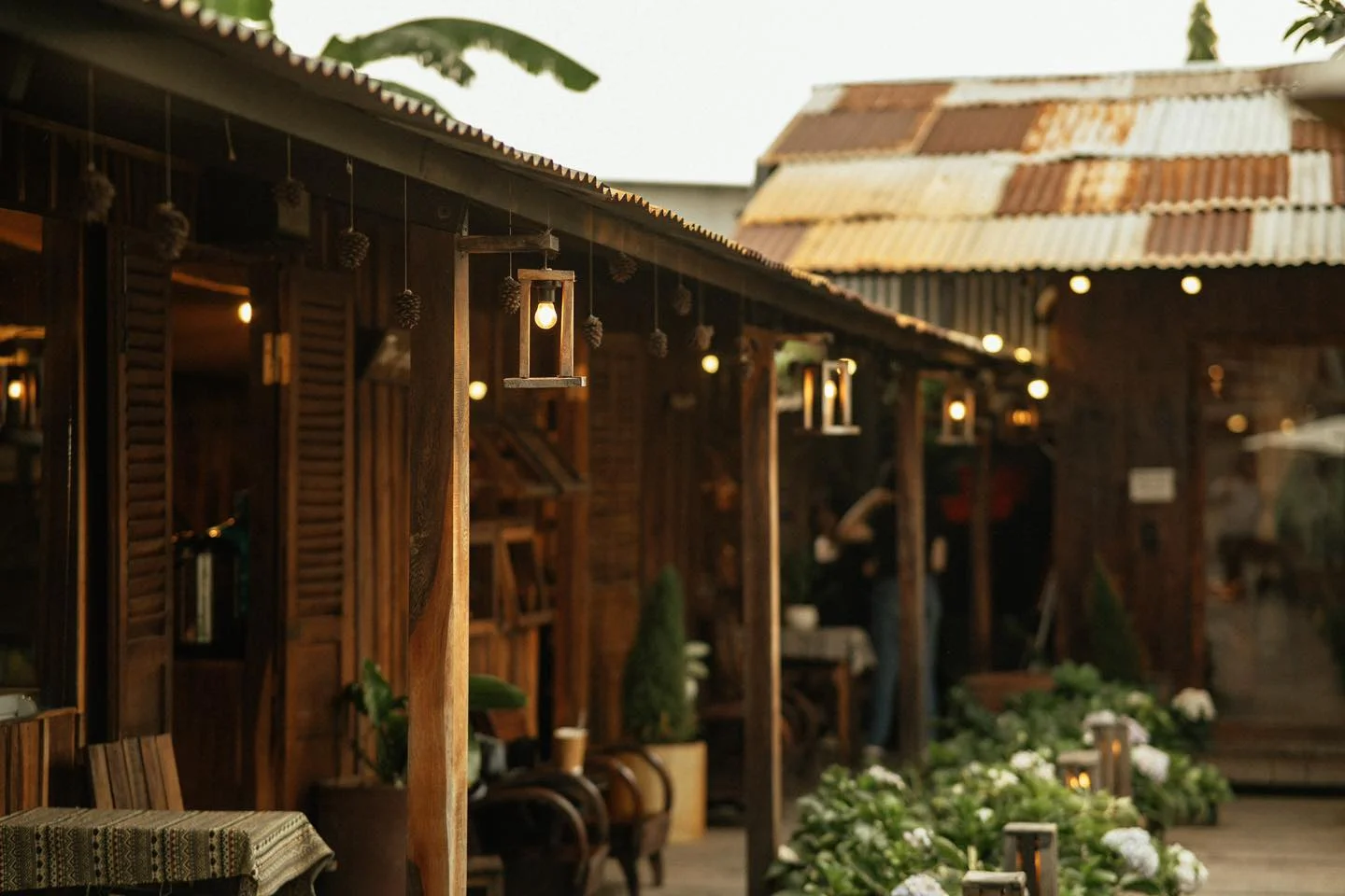 Ánh sáng cafe sân vườn